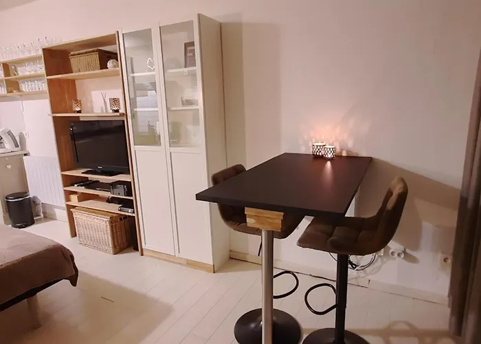 Gezellige Met Balkon - Santhooft Centrum Nieuwpoort-bad Appartement